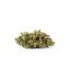 Canalogy Hoa HHC Hoàng gia Phô mai 10 %, 1g - 1000g