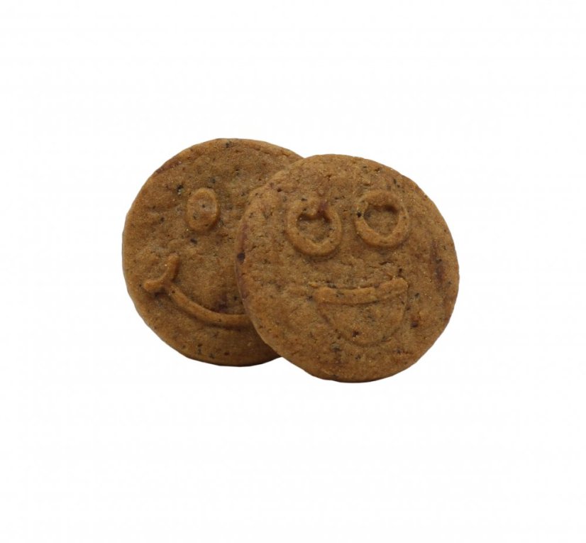Euphoria High Cannabis Chocholate cookies CBD:llä, 100 g