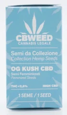 Cbweed OG Kush CBD - 1x feminizované semínko