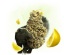 Eighty8 CBD hamppu kukka Super Haisunäätä -1-25 grammaa