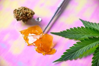 Budder, shatter, crumble: Jaka jest różnica między koncentratami konopi?
