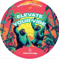 Canntropy Tarra