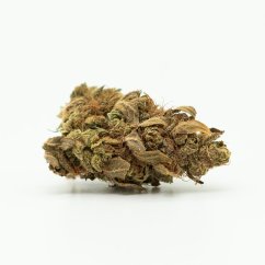 Canalogy CBG 麻の花 ソウルシトロン、15% CBG、0.2% THC (3g-100g)