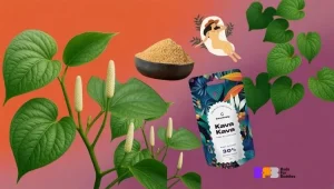 Kava Kava (Piper methysticum) — kasvi Tyynenmeren saarilta