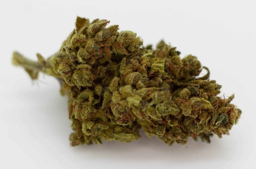 Eybna イブナ 香料 CBD CBN CBG 10ml マンゴーヘイズ Eybna イブナ 香料 CBD CBN CBG 10ml ジーエムオー