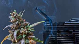 8 přínosů vaporizace CBD květů