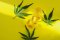What is H4CBD and how does this substance compare to CBD?