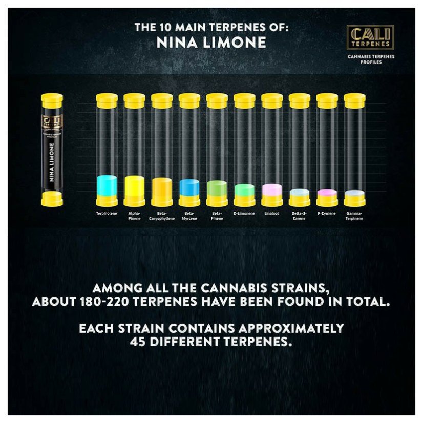 Cali Terpenes - NINA LIMONE, 1 - 1000 ml