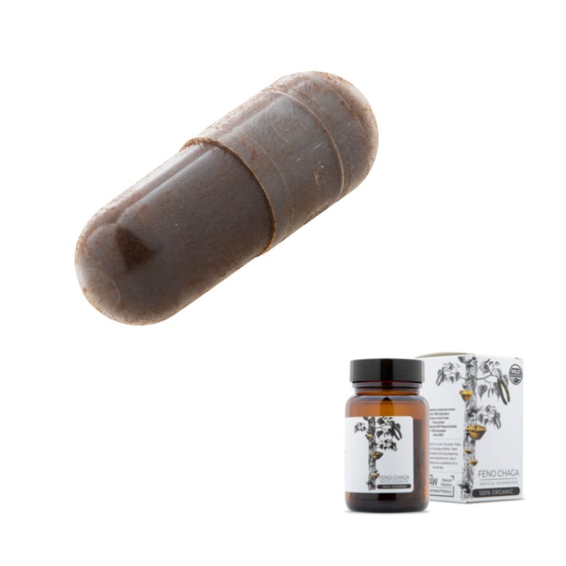 Endoca Luomu Feno Chaga, 30 kapselia