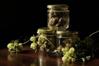 Nogatavināšana ir kā papildu aprūpe, kur ziedi var nogatavoties