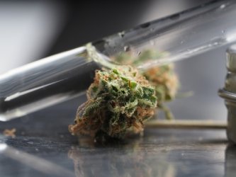 HHC vs. CBD - podobnosti a rozdiely