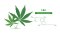 Green cannabis leaves and chemical formula of the molecular structure of Cannabichromene (CBC) isolated on a white background