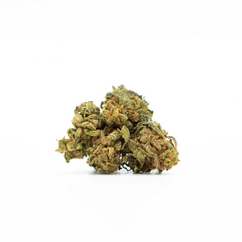 Canalogy HHC virág Amnesia Haze 20 %, 1g - 1000g