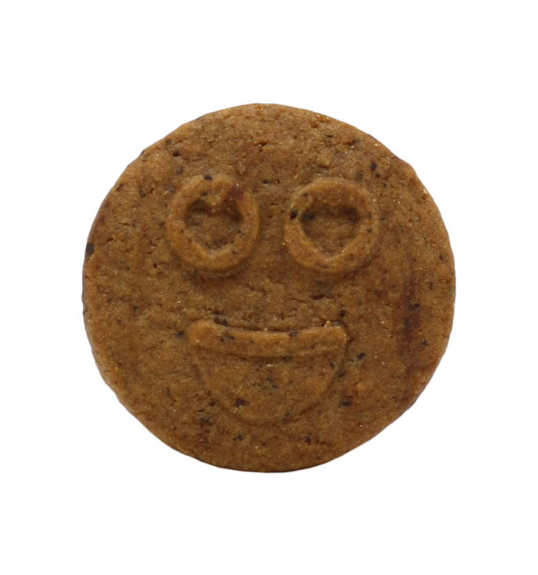 Euphoria High Cannabis Chocholate cookies CBD:llä, 100 g