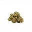 Canalogy Fleur HHC Amnésie Haze 20 %, 1g - 1000g