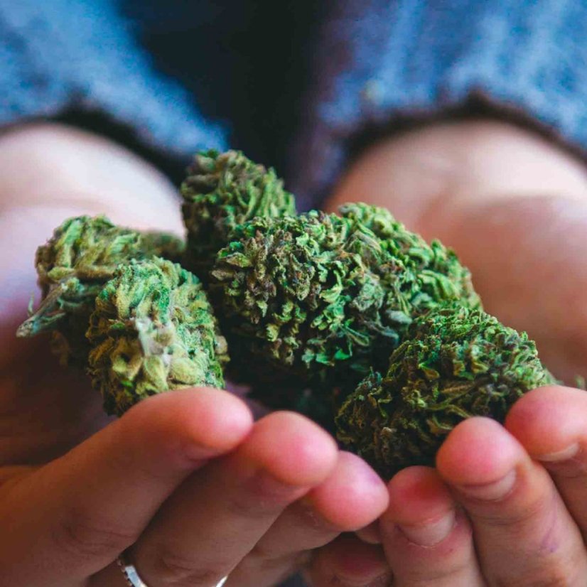 TRUE テルペン 香料 CBD CBN CBG 10ml スーパーレモンヘイズ TERPENE CBDリキッド 高濃度 CBD60%配合 テルペン10%配合 10ml