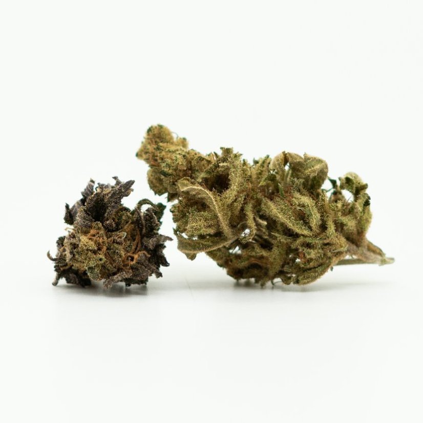 Canalogy CBD კანაფის ყვავილი სამეფო, 16% CBD, 0.2% THC (3გ-100გრ)