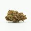 Canalogy Fleur de chanvre CBG Soul Citron, 15% CBG, 0,2% THC (3g-100g)