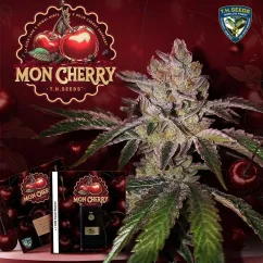 T.H.Seeds™ Cannabis Seeds Mon Cherry, eri pakkaus, feminisoitu