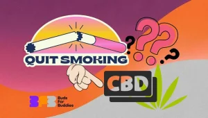Motivoiva tupakoinnin lopettamisen kuvitus, jossa korostetaan CBD:n käyttöä, sisältää symboleja, kuten rikkinäinen savuke ja CBD, joka voi auttaa lopettamisessa.