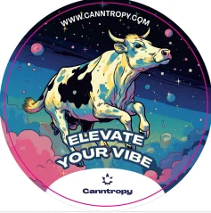 Canntropy Tarra