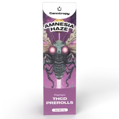 Canntropy THCD Preroll Amnesia Haze, 1 g