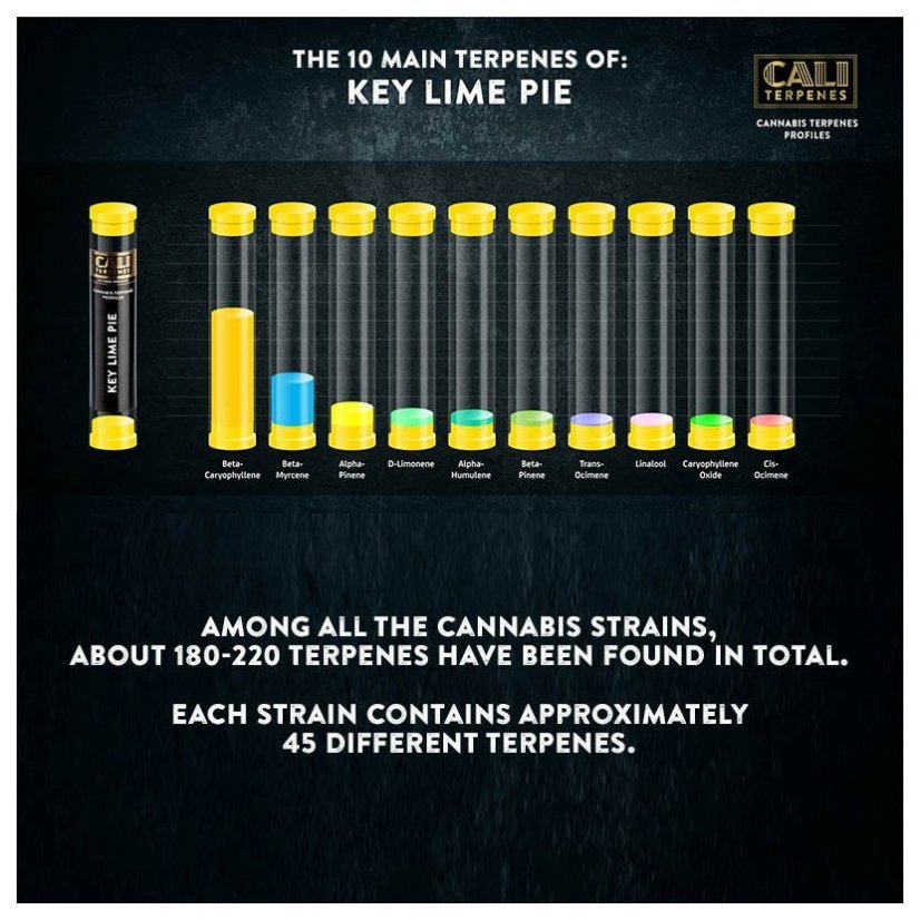 Cali Terpenes - KEY LIME PIE, 1 - 1000 ml