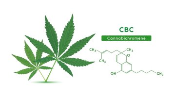 Hojas verdes de cannabis y fórmula química de la estructura molecular del cannabicromeno (CBC) aisladas sobre fondo blanco