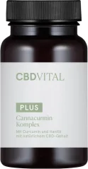 CBD Vital - Complex CBD capsules with Curcumin extract