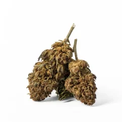 Euphoria CBD Weed Platinum Harle Tsu, 100 g