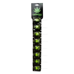 Euphoria Cannabis Flat Lollipops, 10 x 7,7 g