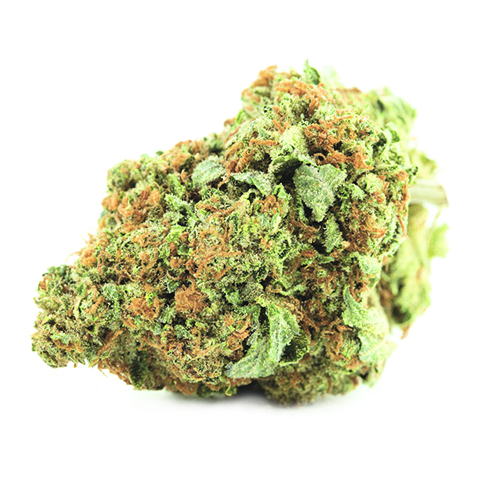Canalogy CBD Hanfblume Zitronenstinktier 14 %, 1g - 1000g
