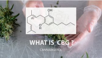 CBG viss, kas jums jāzina par šo kanabinoīdu