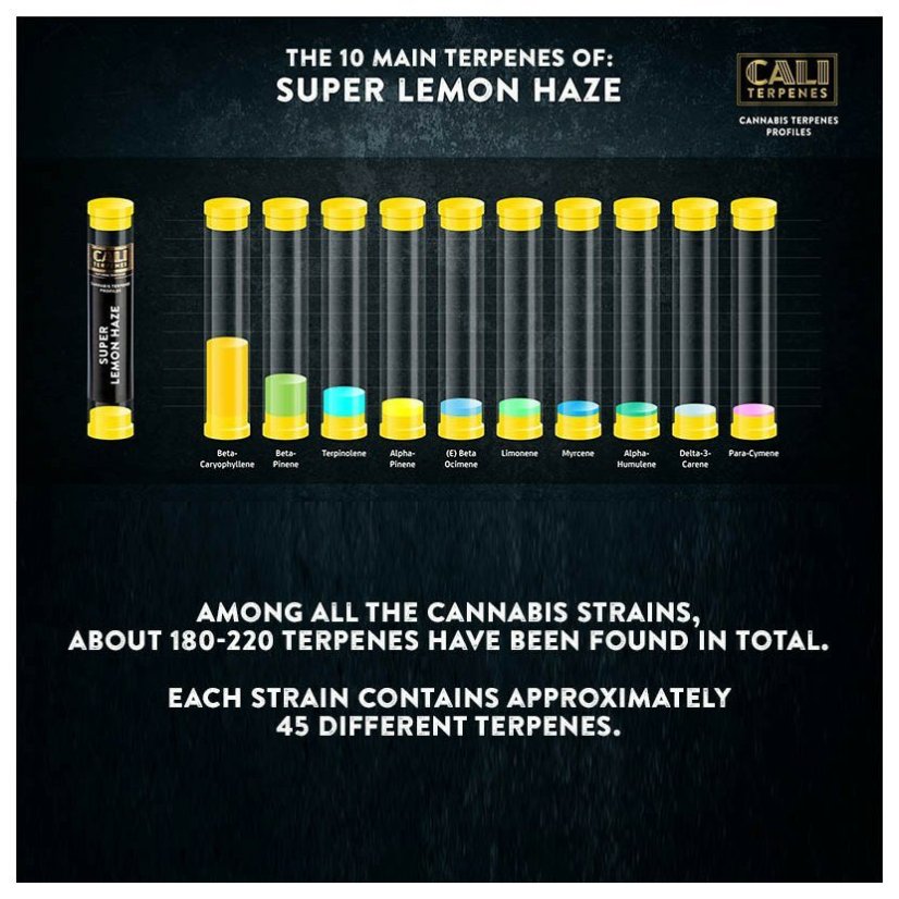 Cali Terpenes - Super Lemon Haze, 1 - 1000 ml