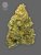 The Bulldog Seeds TB Lemon Haze Auto, 3 ja 5 kpl
