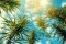 Hexahydrocannabinol: the right hand of THC