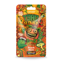 Euphoria T9HC Peach Haze -kukat, 1 g