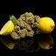 Eighty8 Cannatonic CBD Hampun kukka - 1-25 grammaa