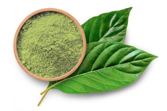 Grön kratom