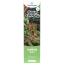Canntropy CBNO Kertakäyttöinen Vape Pen Sour Tangie, CBNO 94 % laatu, 1 ml