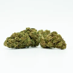 CBD Greenhouse Flower Northern Light 11 %, 1 g - 100 g