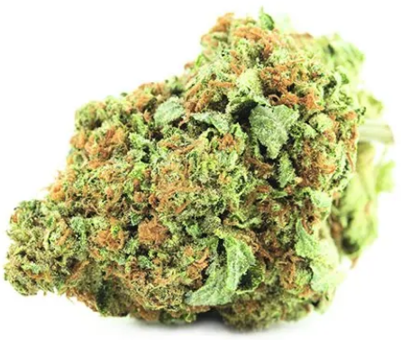 CanaPuff CBD hamppukukka sitruunahakku, CBD 14 %, 1 g - 10 g