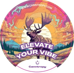 Canntropy-tarra - satunnainen