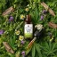 Herbican CBD-öljy THC-vapaa, 30 %, 10 ml