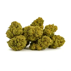 Små Buds Drivhusblomster, 10 g - 100 g