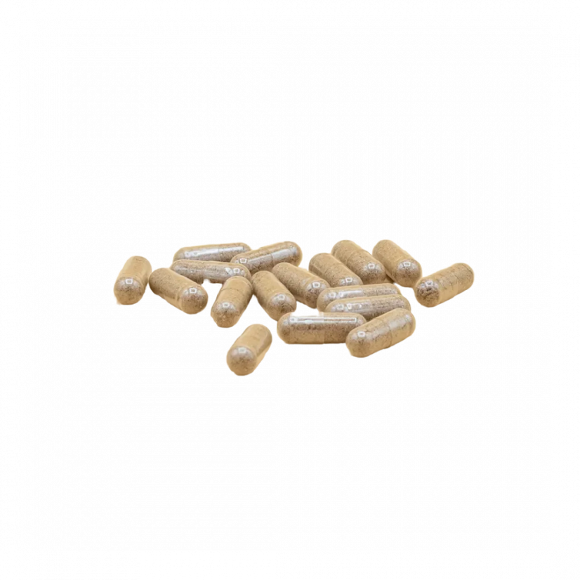 Enecta CB6 Immuno kapsuly, 60 ks, 30 g
