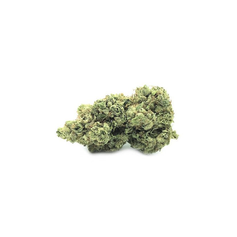 Canalogy Cânhamo CBD flor Incêndio Kush 13 %, 1g - 1000g