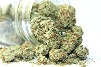 CBG flowers kļūst aizvien populārāki, neraugoties uz augstāku cenu