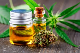 Różnica między olejem CBD a kwiatami CBD
