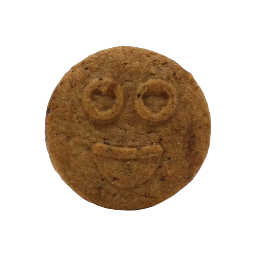Euphoria High Cannabis Chocholate cookies, 100 g